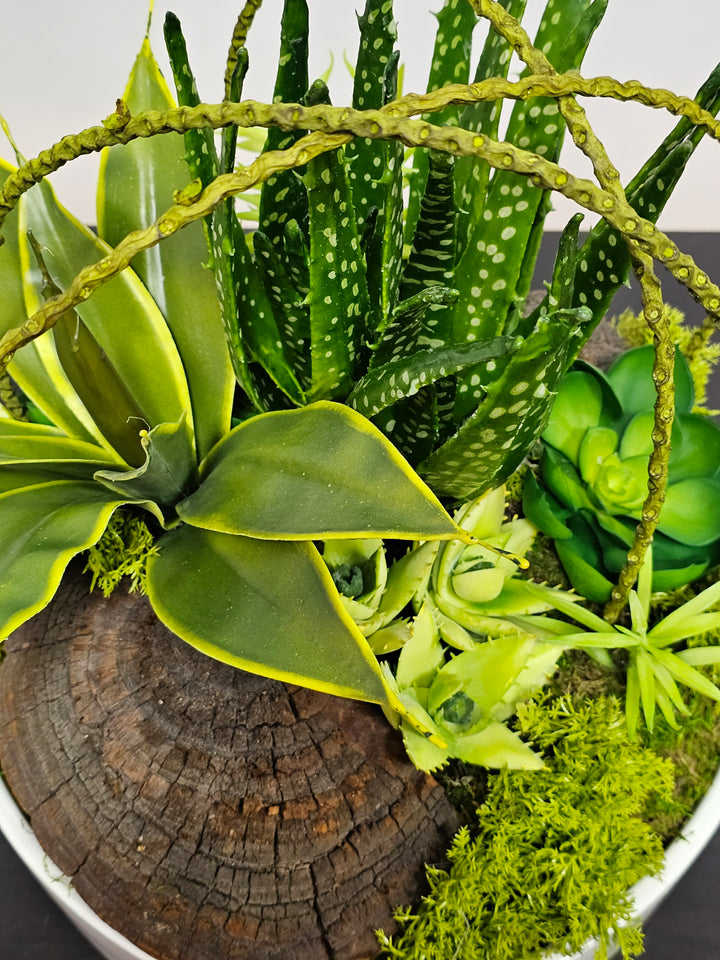 Succulents, Mushroom sponge, and Willow Spray in Container FH: 15"