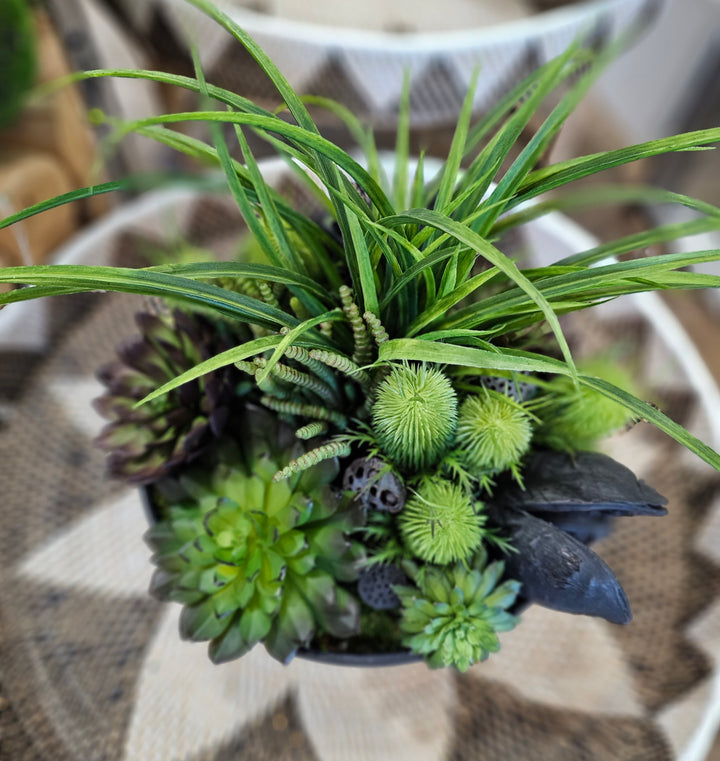 Succulents, Moss, and Sora Pods in Container FH: 18"