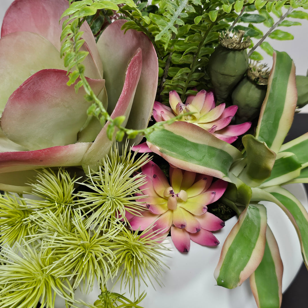 Mixed Succulents, Ferns and Lotus Pods in Bowl.  FH: 12"