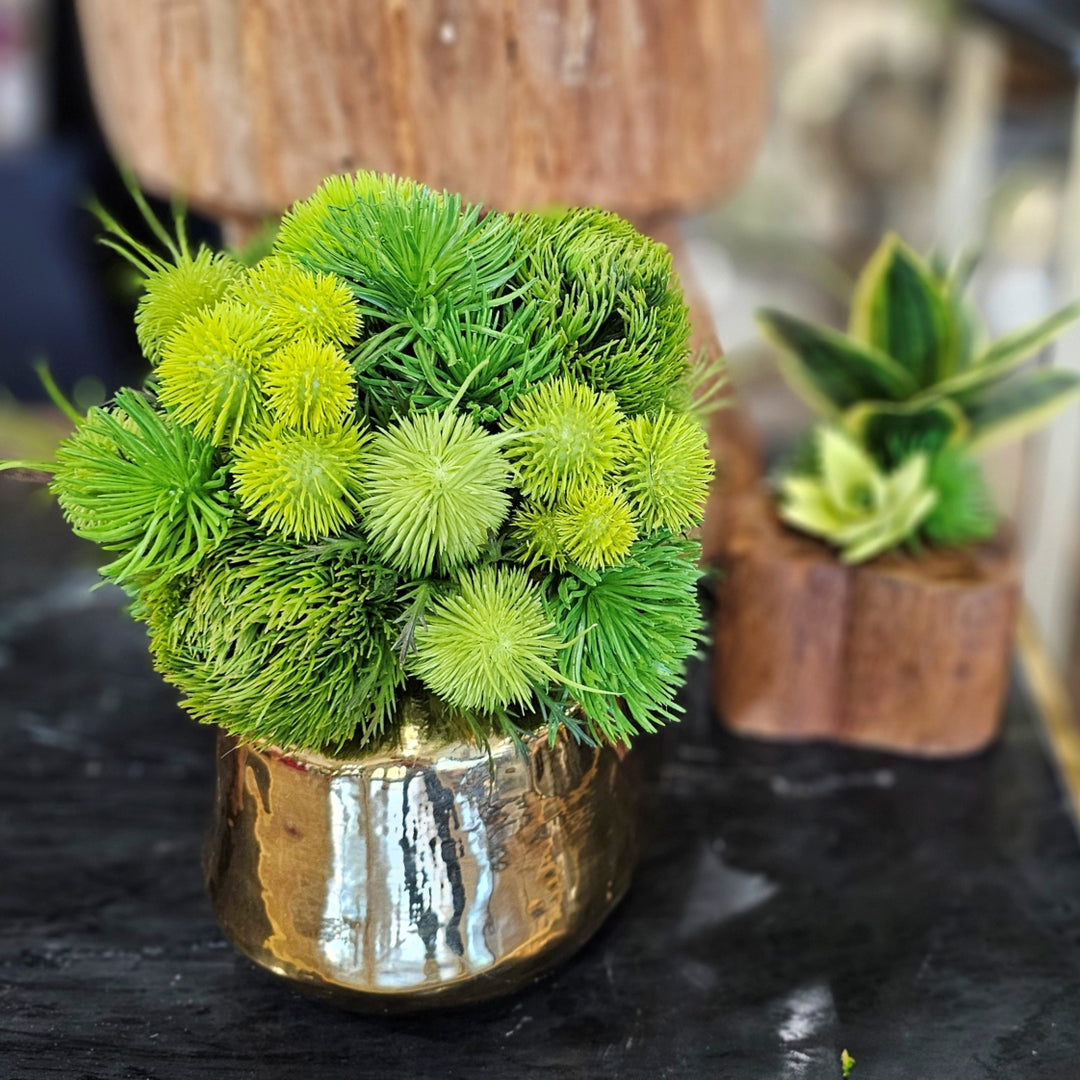 Green Dianthus, Allium and Thistle in Glazed Gold Ceramic Vase 10.5"H