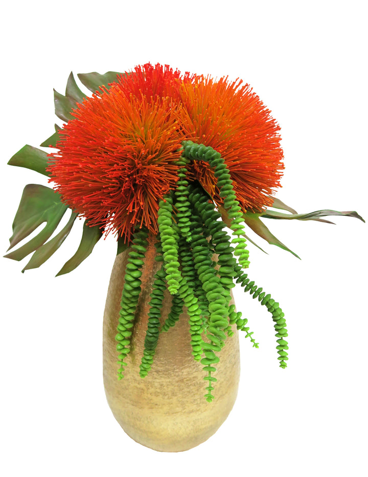 Sea Urchin Flowers with Monstera Leaves and Donkey Tails in Vase