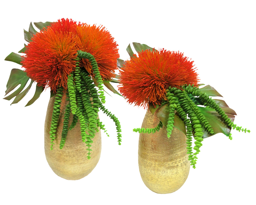 Sea Urchin Flowers with Monstera Leaves and Donkey Tails in Vase