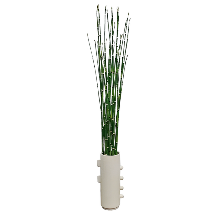 Water Bamboo in Ceramic 37"H