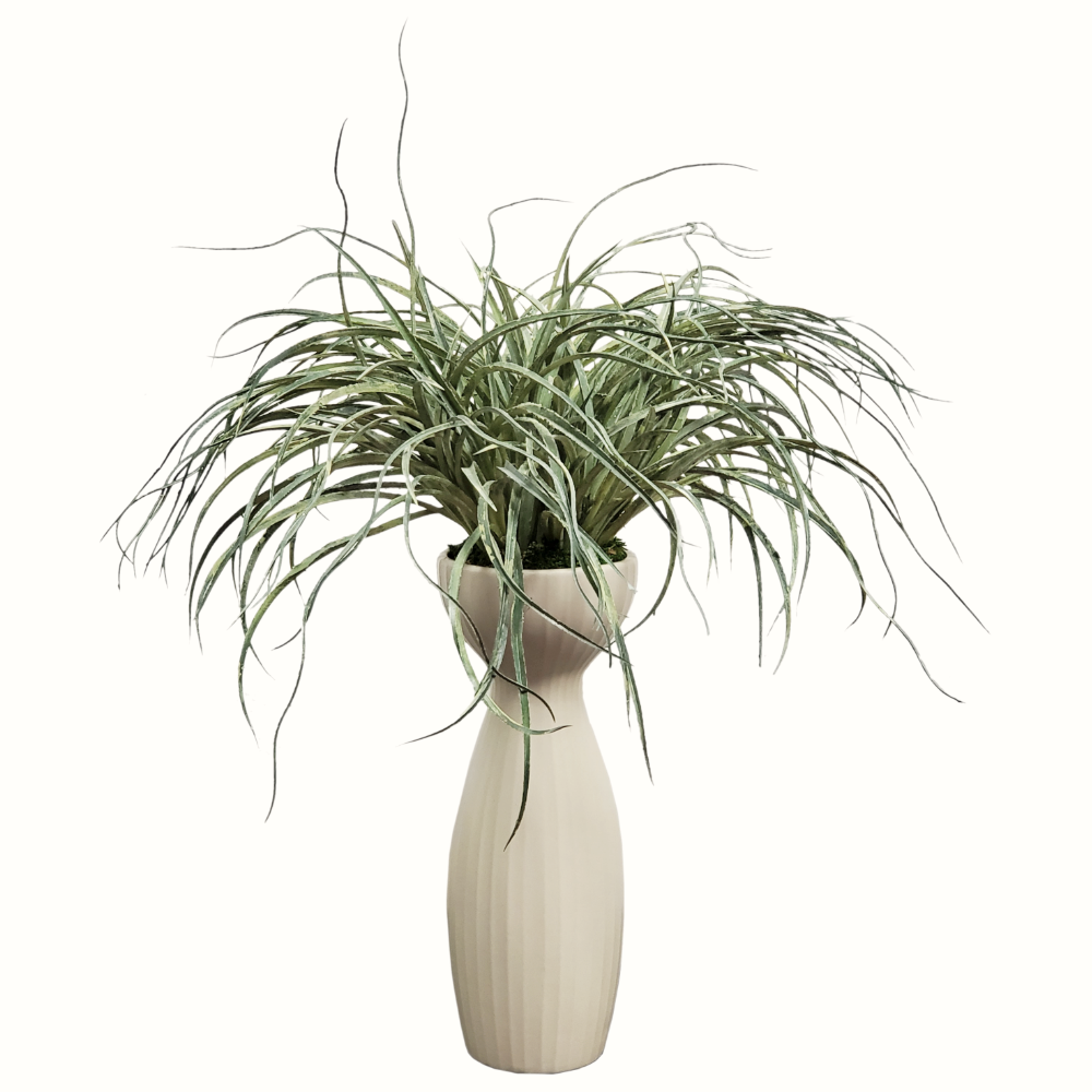 Tillandsia in Ceramic 24"H