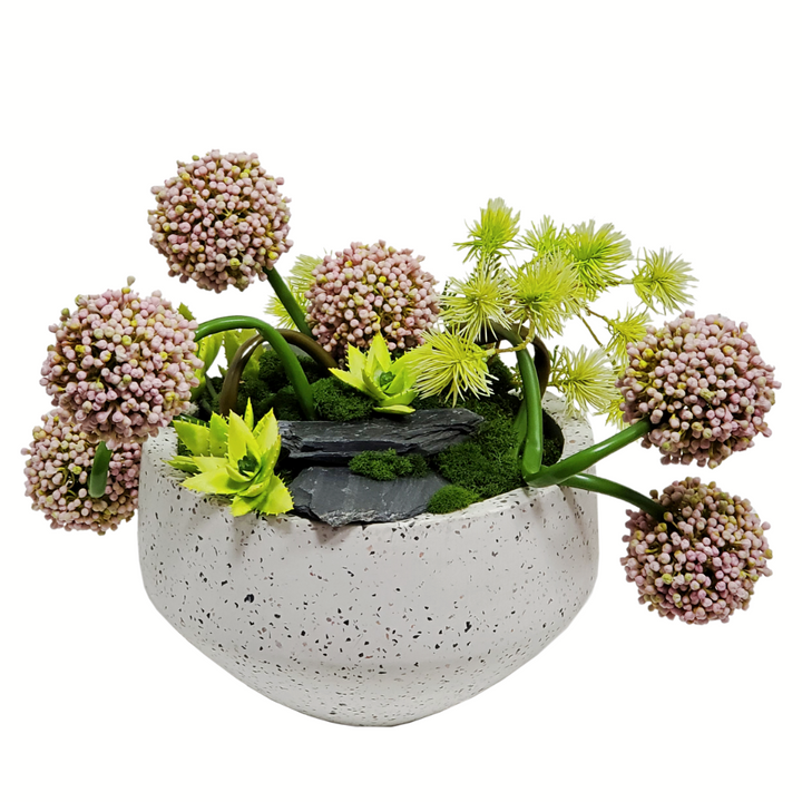 Allium, Spiny Pods and Succulents with Rocks in Bowl 16"H