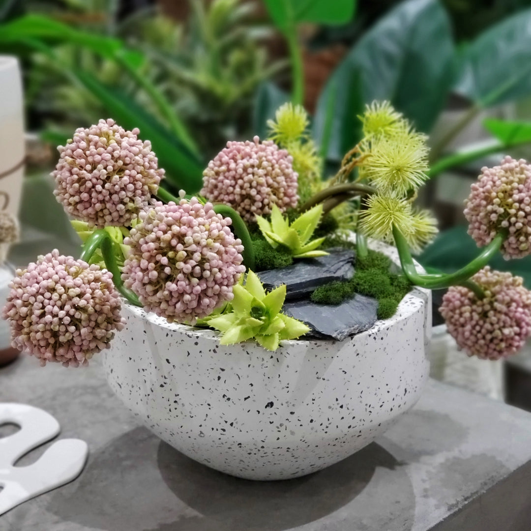 Allium, Spiny Pods and Succulents with Rocks in Bowl 16"H