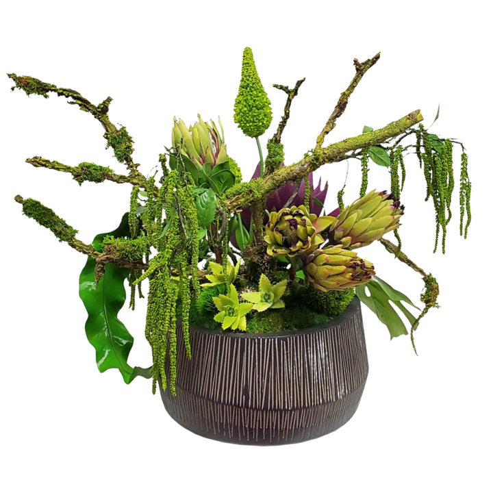 Protea, Eremurus, Hanging Amaranthus, Aloe, Leaves and Mossing Branches in Bowl 26"H