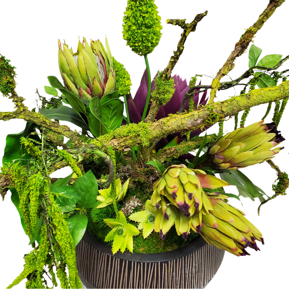 Protea, Eremurus, Hanging Amaranthus, Aloe, Leaves and Mossing Branches in Bowl 26"H