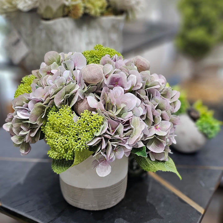 Hydrangeas, Figs and Skimmia in Container 12"H