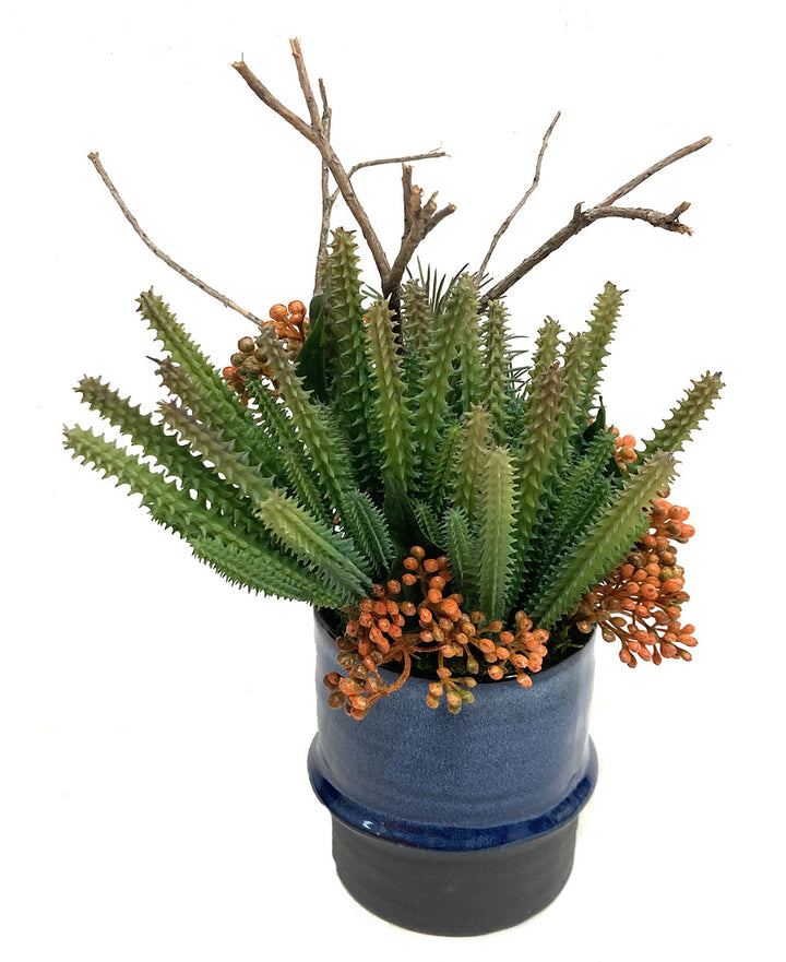 Cactus and Sedum in Ceramic FH: 12"