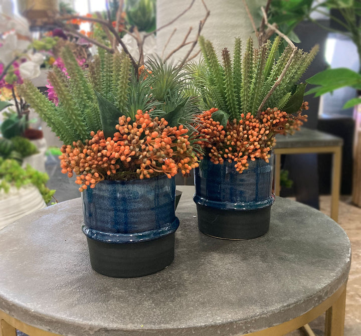 Cactus and Sedum in Ceramic FH: 12"