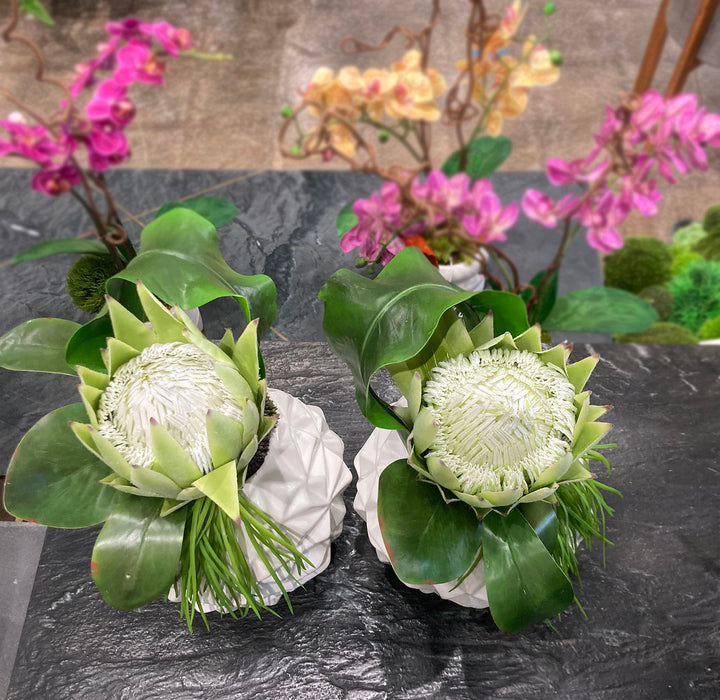 Protea with Tropical Leaf and Grass in Container FH:13"