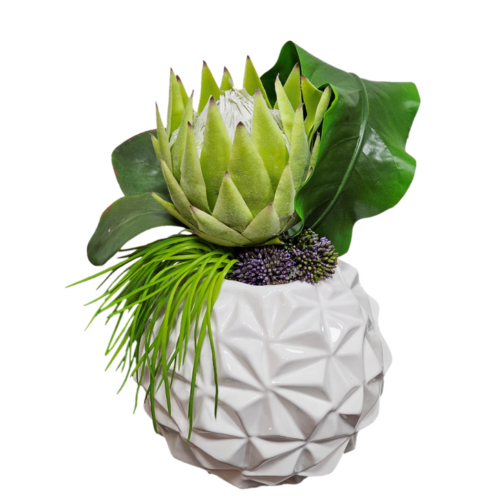 Protea with Tropical Leaf and Grass in Container FH:13"