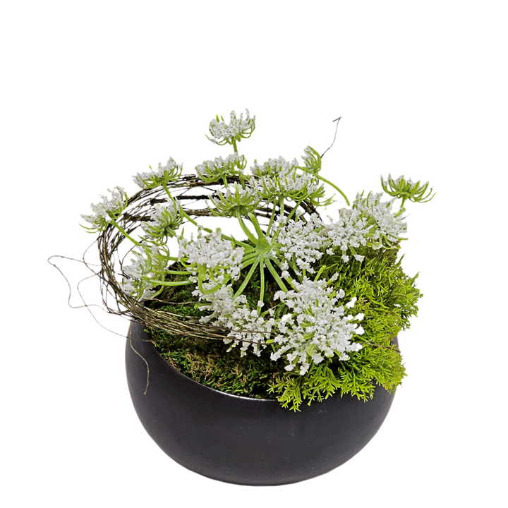 Queen Annes Lace with Vine in Ceramic FH: 6"