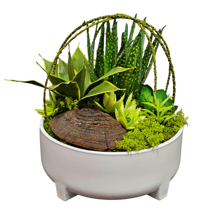 Succulents, Mushroom sponge, and Willow Spray in Container FH: 15"