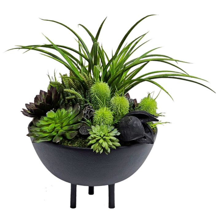 Succulents, Moss, and Sora Pods in Container FH: 18"