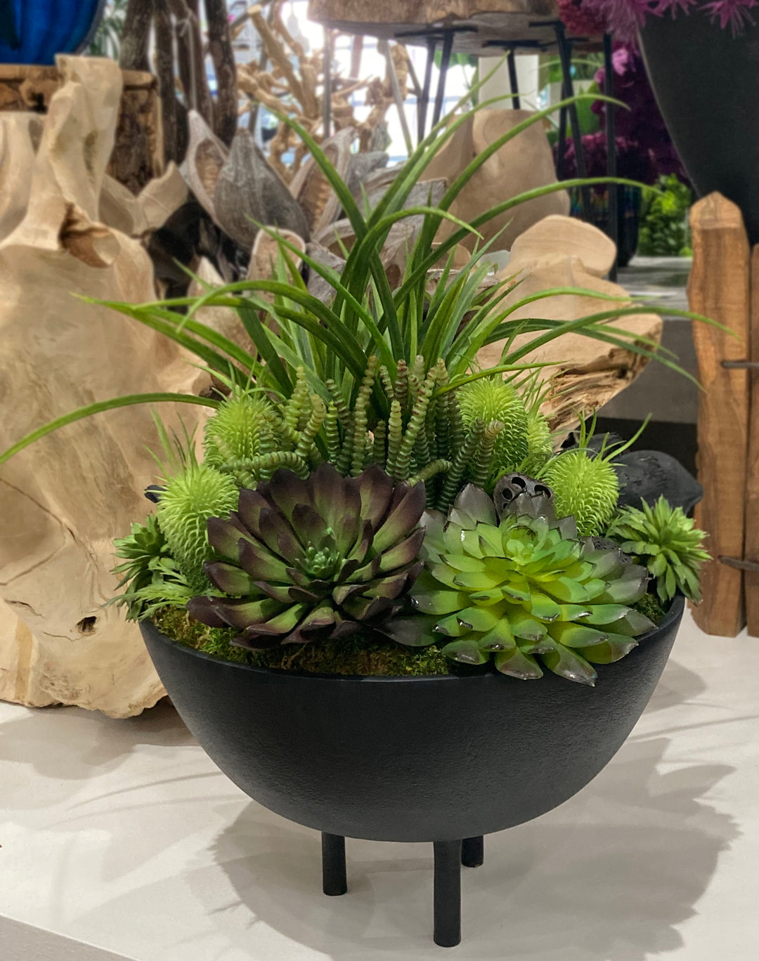 Succulents, Moss, and Sora Pods in Container FH: 18"