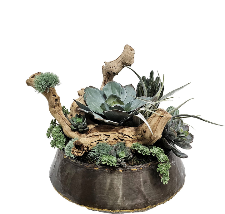 Succulents, Tillandsia, and Grapewood in Bowl FH: 15"H