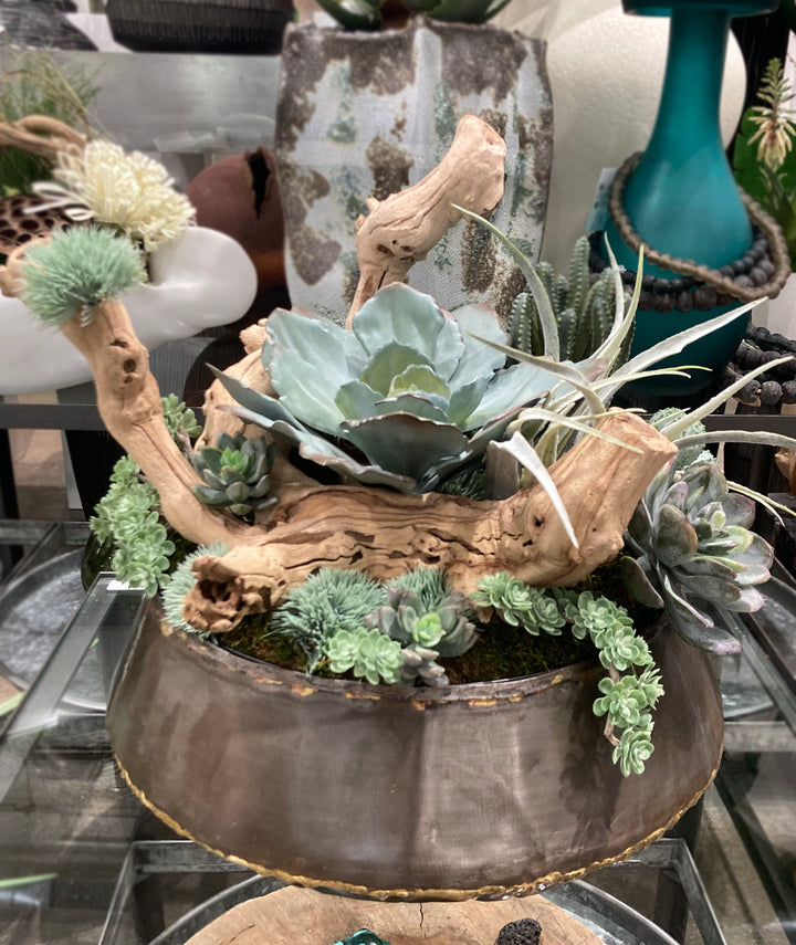 Succulents, Tillandsia, and Grapewood in Bowl FH: 15"H