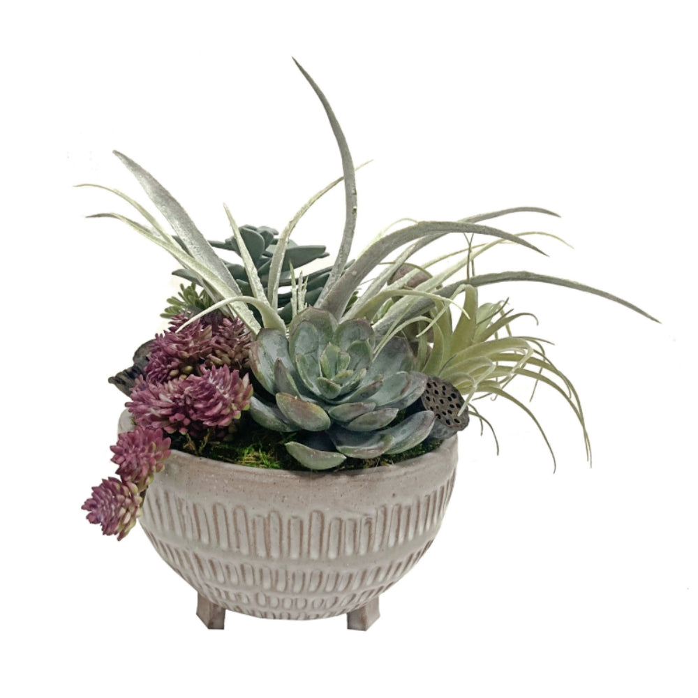 Mix of Succulents in Ceramic FH:13"