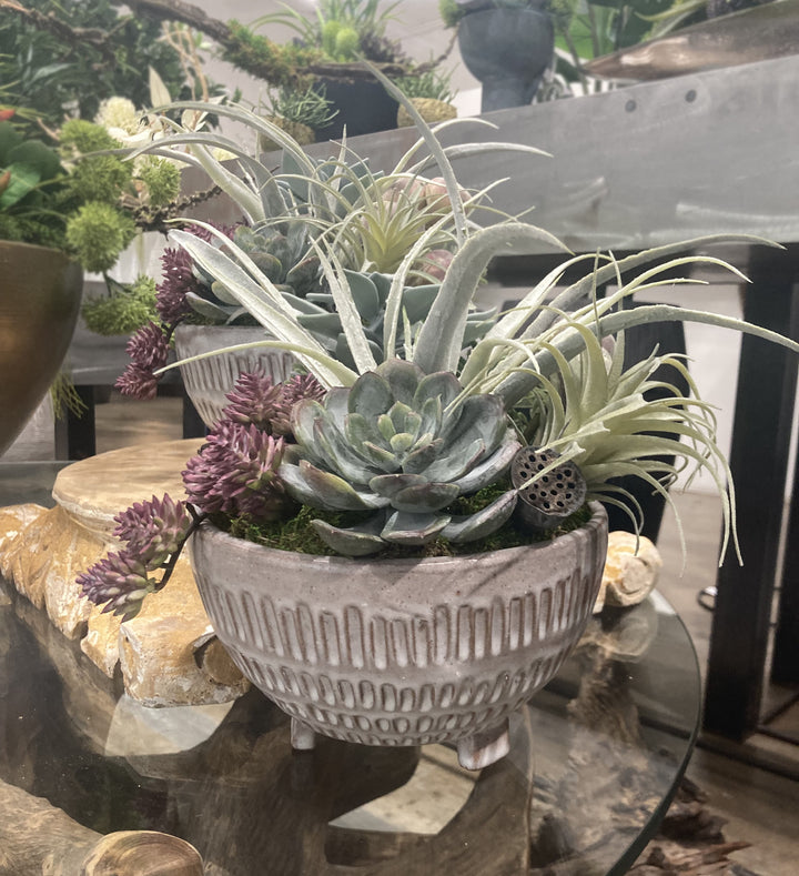 Mix of Succulents in Ceramic FH:13"