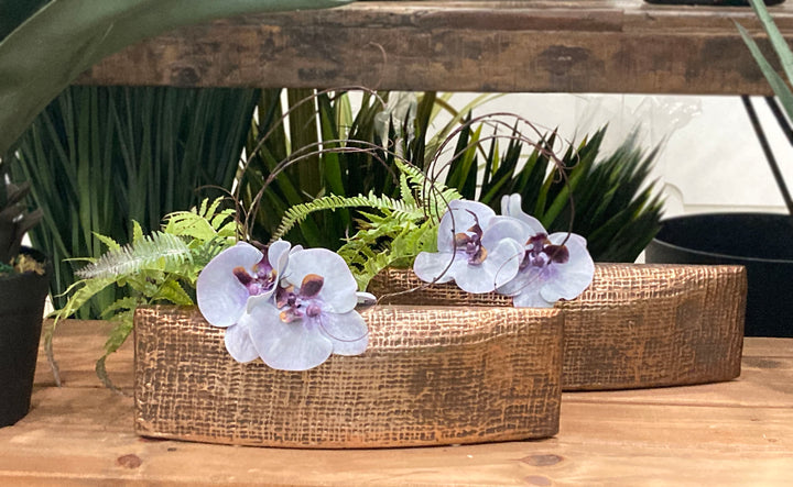 Phalaenopsis Orchids with Ferns and Succulents in Boat FH: 10"