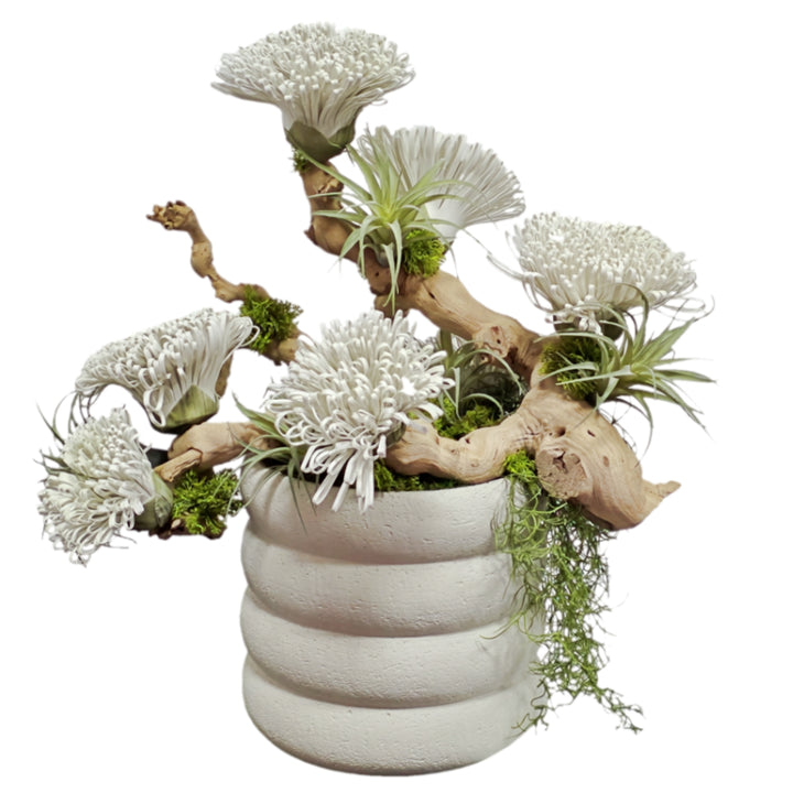 Foam Flowers, Tillandsia and Moss on Grapewood Sculpture in Ceramic FH: 22"H