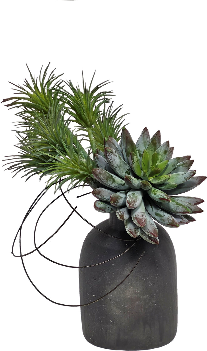 Succulent with Mini Tillandsia in Vase FH: 11"H