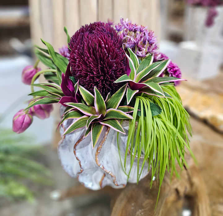 Protea, Allium, Tulips and Succulents in a Ceramic FH: 12"