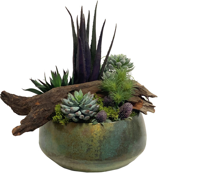 Agave and Succulents with Wood Fragment in a Bowl FH: 19"