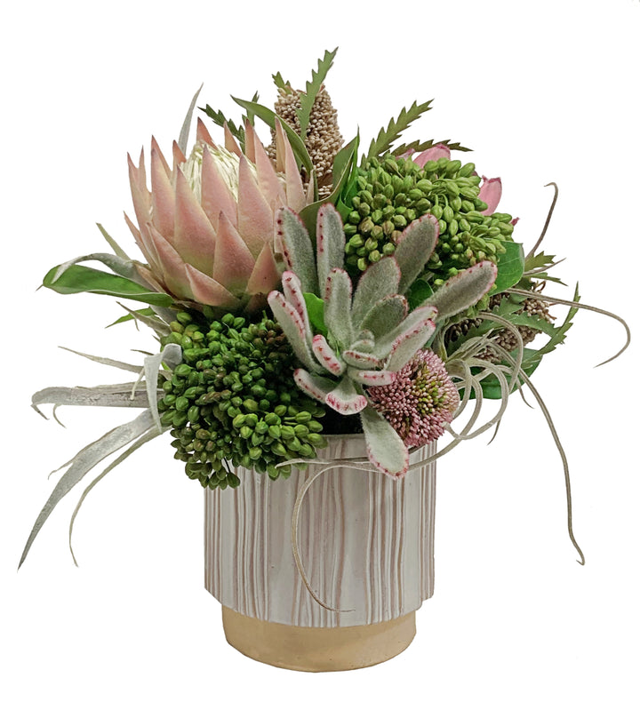 Succulents and Protea in a Ceramic FH: 16"