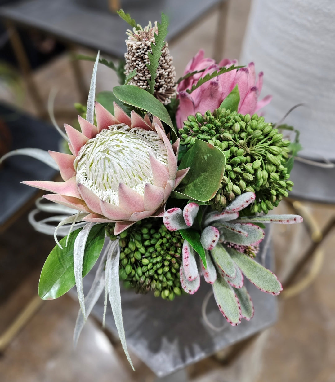 Succulents and Protea in a Ceramic FH: 16"