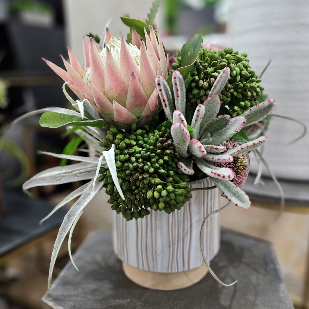 Succulents and Protea in a Ceramic FH: 16"