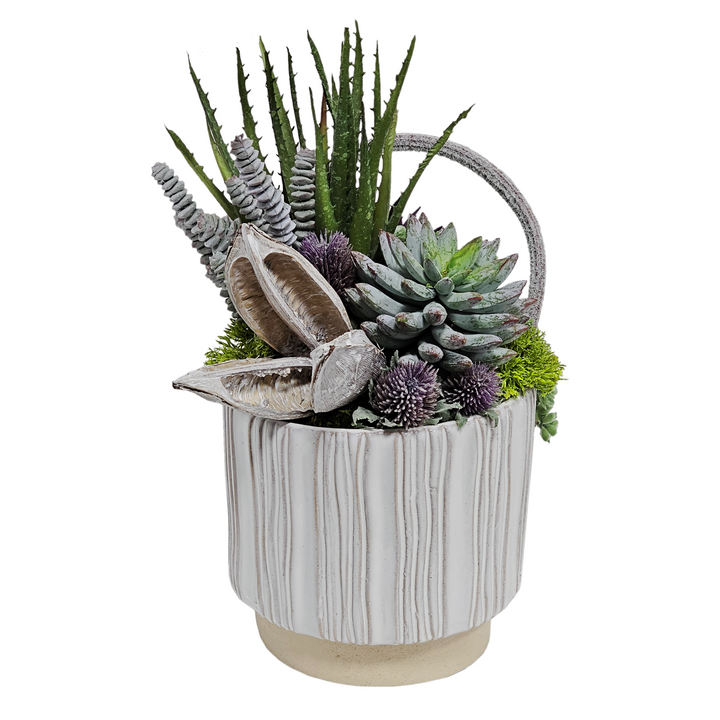 Aloe, Donkey Tail, Sora Pod and Succulents in Ceramic FH: 13.5"