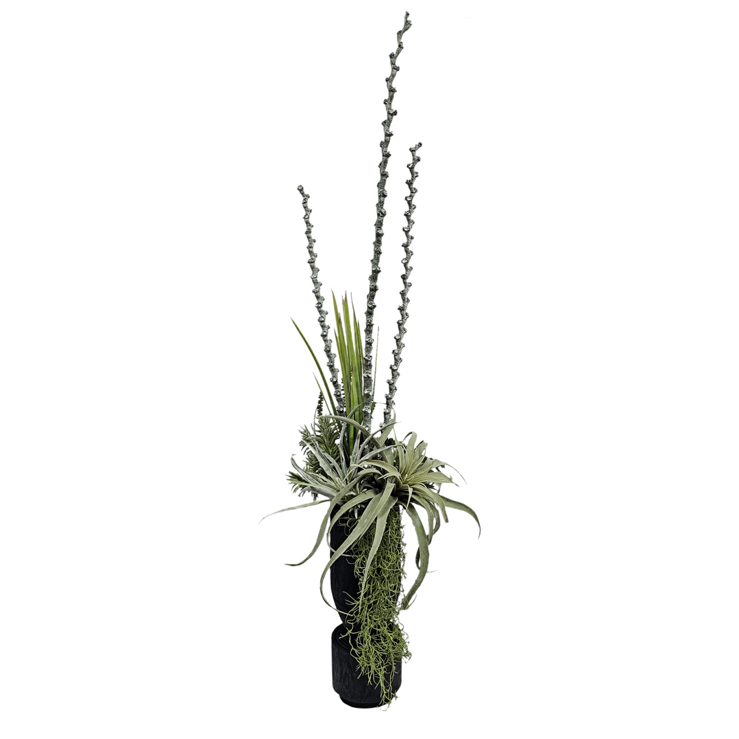 Ladder Branches with Mixed Succulents in Vase FH: 54"