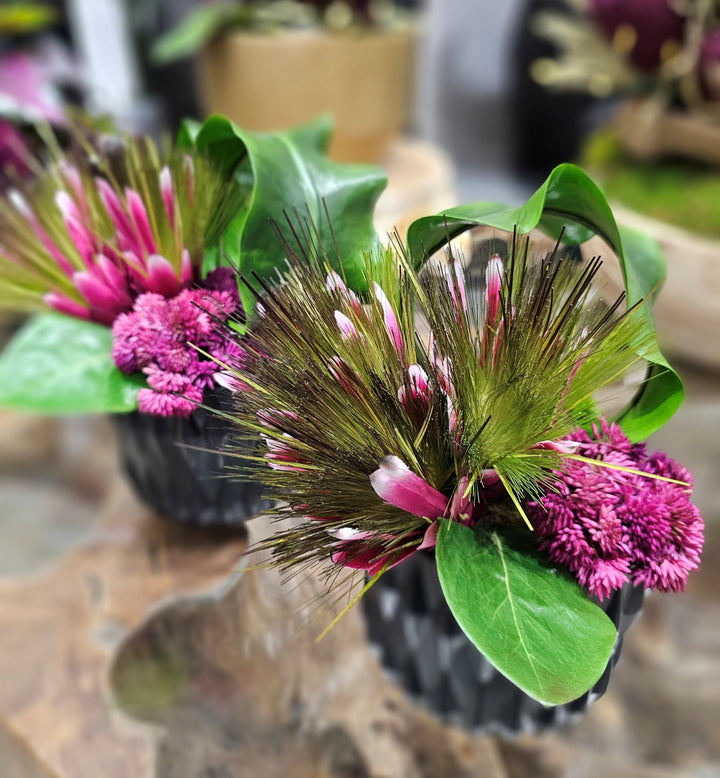 Protea, Looped Tropical Leaf and Sedum in Container FH: 10"H