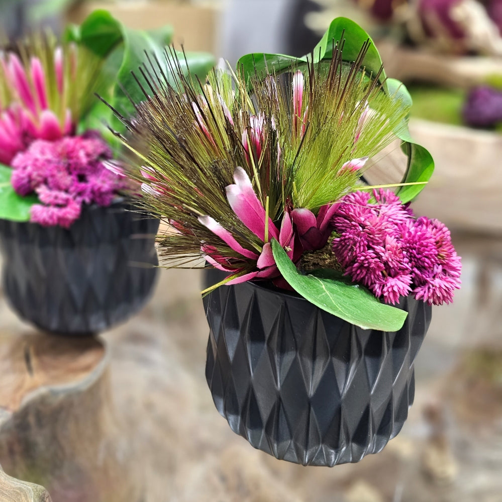 Protea, Looped Tropical Leaf and Sedum in Container FH: 10"H