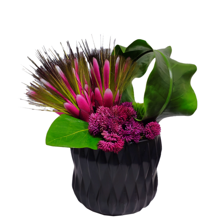 Protea, Looped Tropical Leaf and Sedum in Container FH: 10"H