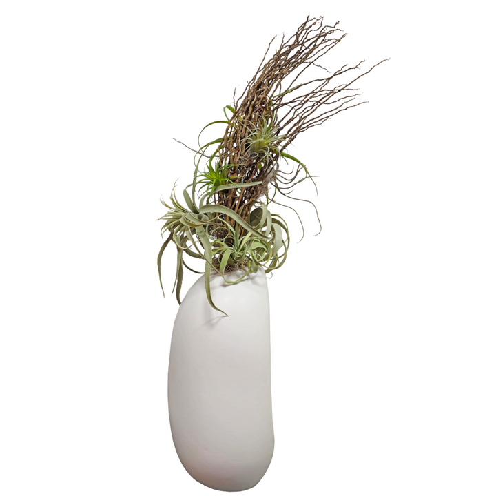 Coco Jhar and Tillandsia in Tall Ceramic FH: 47"