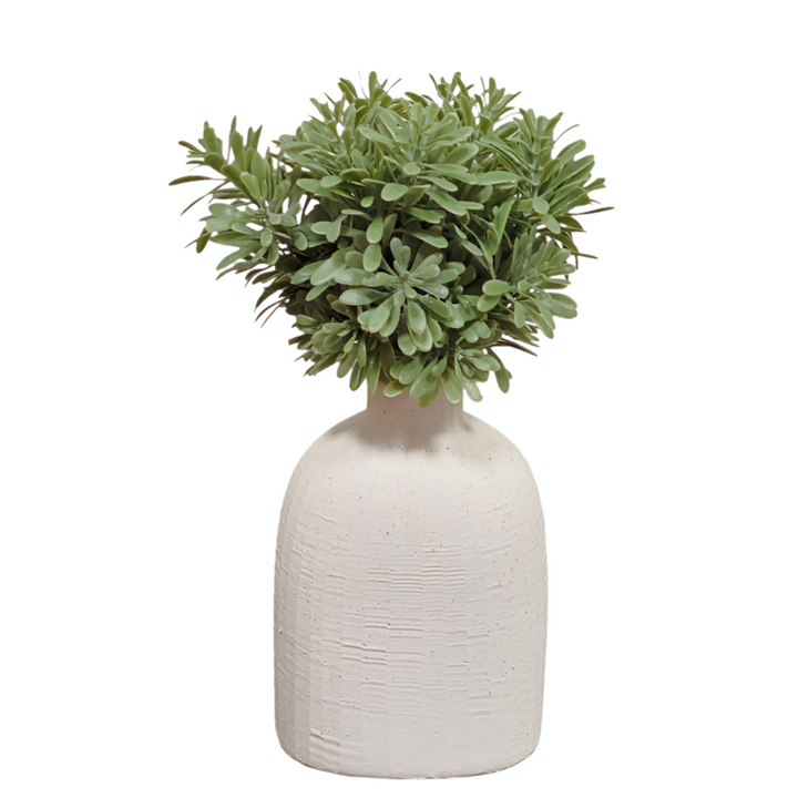 Succulent Bush in Vase Tall  FH: 8"