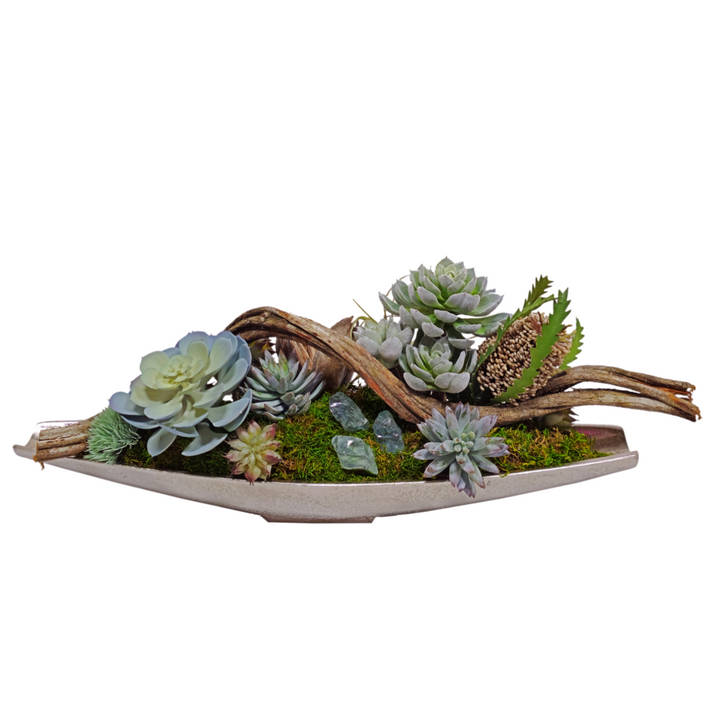 Succulents, Banksia and Twisted Vine in Container FH: 8"