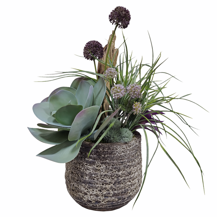 Kalanchoe, Allium, Aloe, Grass and Wood in Ceramic FH: 25"