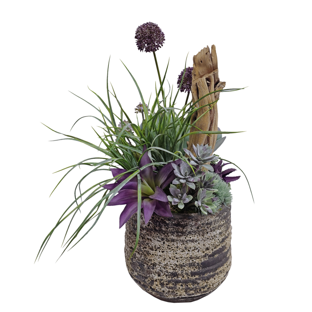 Kalanchoe, Allium, Aloe, Grass and Wood in Ceramic FH: 25"