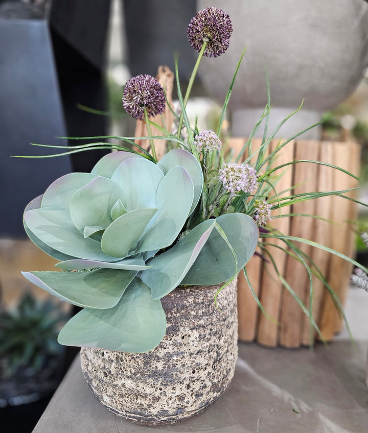 Kalanchoe, Allium, Aloe, Grass and Wood in Ceramic FH: 25"