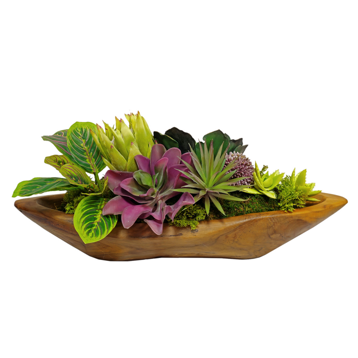 Succulents, Protea, Allium and Peacock Plant in Boat FH: 10"