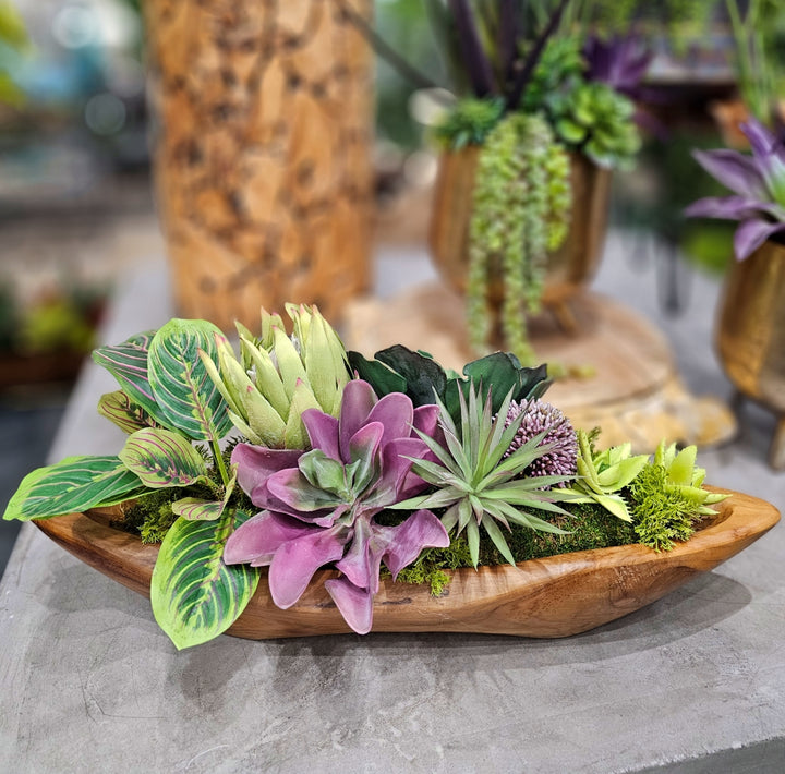 Succulents, Protea, Allium and Peacock Plant in Boat FH: 10"