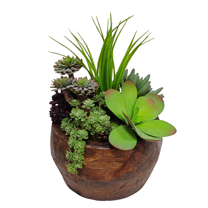 Kalanchoe and Succulents with Grass and Berry Cluster in Bowl FH: 14"