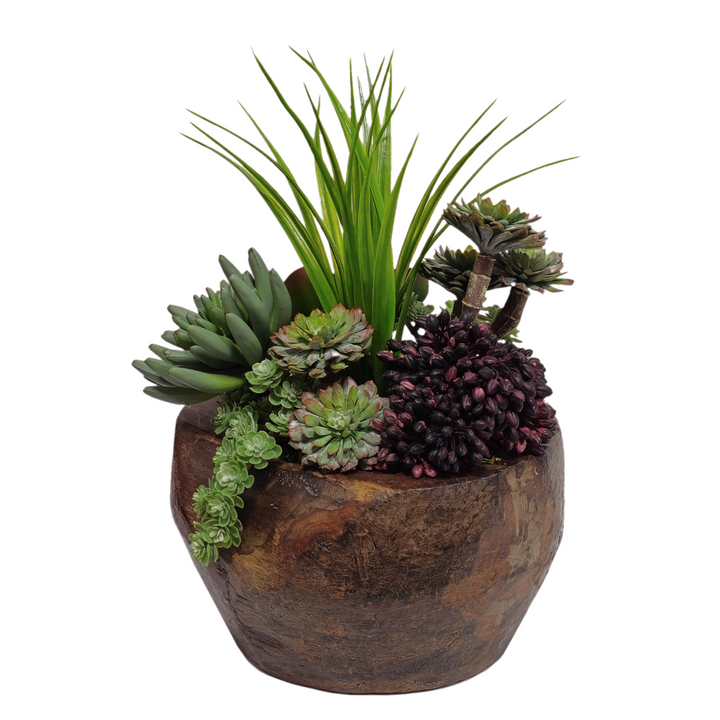 Kalanchoe and Succulents with Grass and Berry Cluster in Bowl FH: 14"