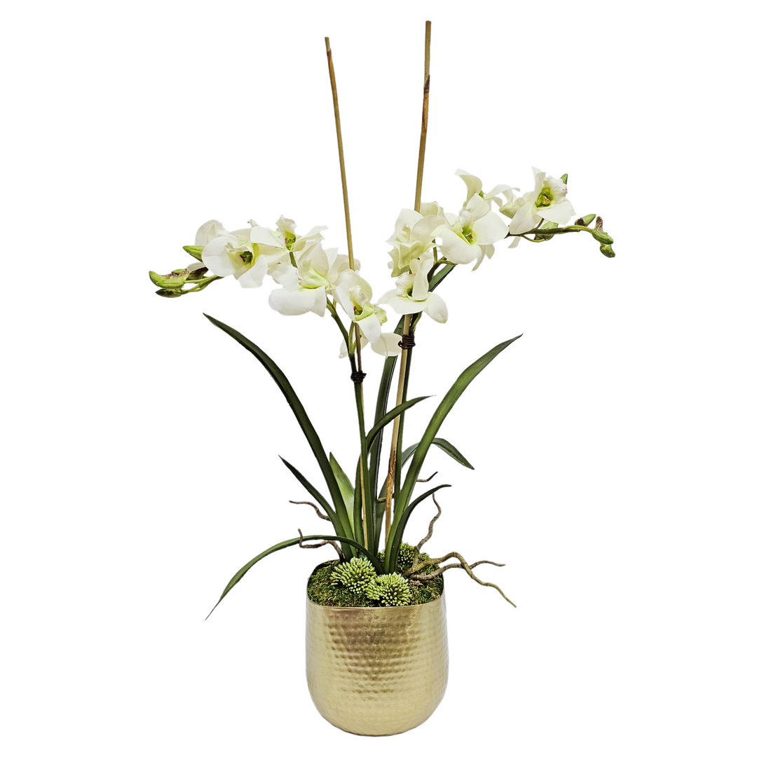 Orchids with Leaves in Container FH:  26"