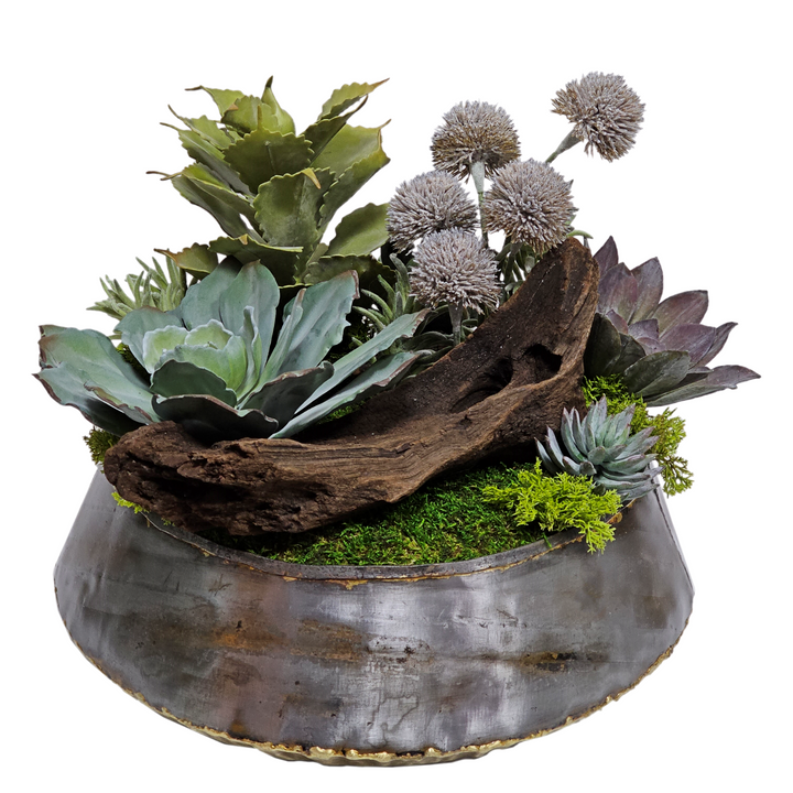 Succulents, Allium and Wood Bowl  FH:  13"